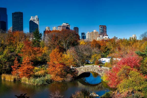 Central Park in New York City